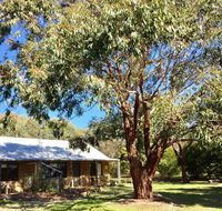 Grampians Pomonal Cottages - Flights