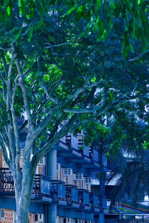 Soho Brisbane - Flights 12