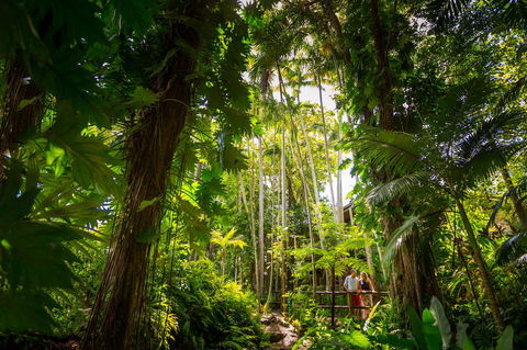 Cairns Colonial Club Resort - Flights 22