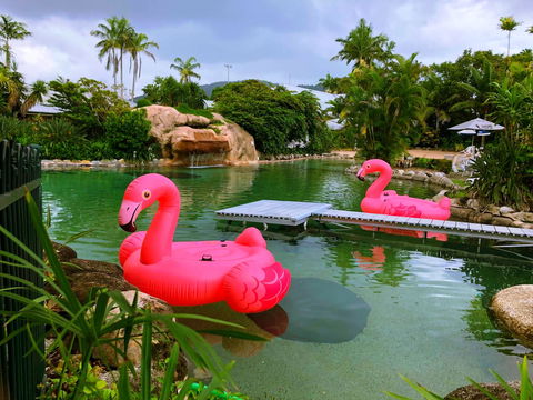 Cairns Colonial Club Resort - Flights 6