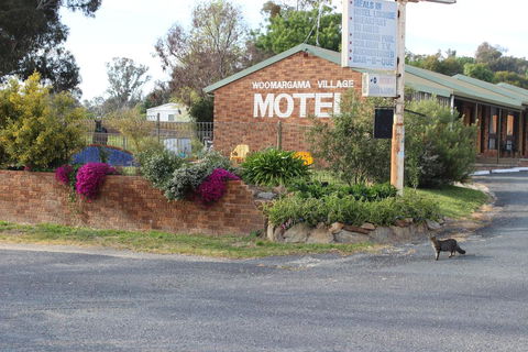 Woomargama Motel - Flights 3