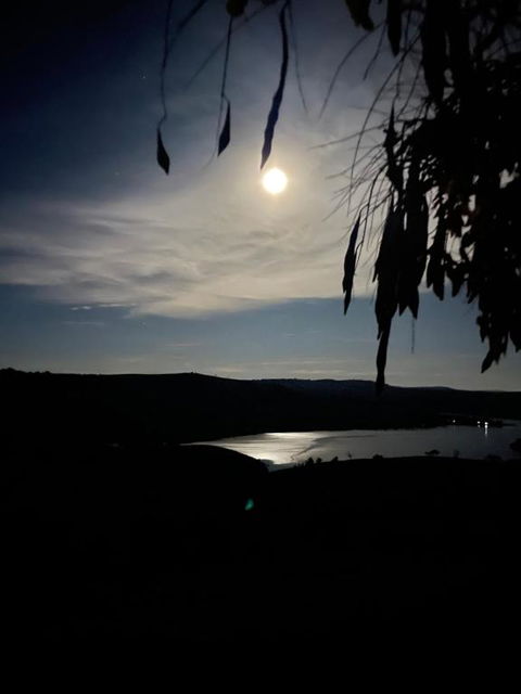 Amazing Views Pet Friendly Bed And Breakfast - Flights 1