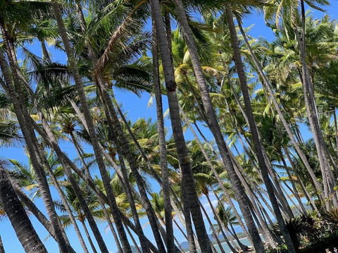 IMPORTANT MESSAGE This Property Is Not Currently Available For Holiday Letting - Flights 1