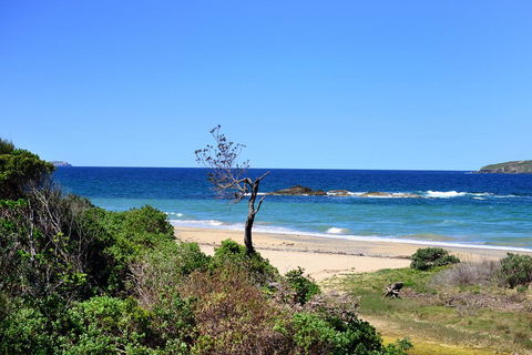 Aqualuna Beach Resort - Unit 25 - Flights 3