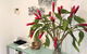 Aquatica - Luxe Holiday Home - thumb 3