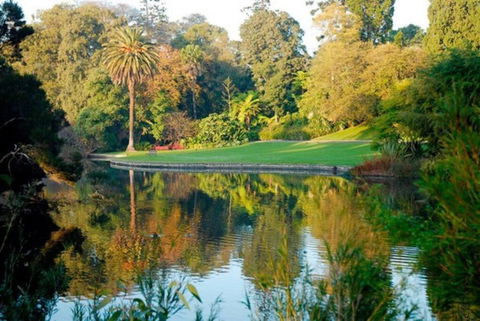 Perfect Parkside Princess Hill Retreat Sleeps 6 - Flights 2