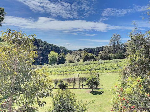 Red Hill Lane 5BedroomVineyard&RuralValleyViews - Flights 3