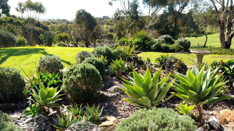 Austiny Bed And Breakfast Victor Harbor - Flights 2