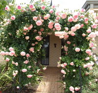 Baudins of Busselton Bed and Breakfast - Flights