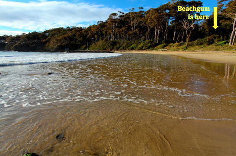 Beachgum - Flights 2
