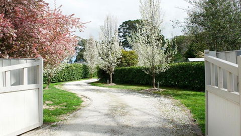 Robin Hill Manor - Flights 2