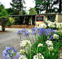 Blackheath Motor Inn - Flights