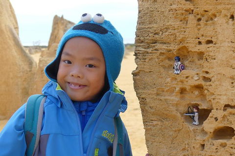 Private, Luxury Pinnacles Tour: Stargazing, Sand-boarding & Sightseeing - Flights 1