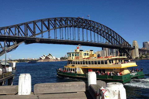 Private Tour: Sydney Highlights In A Day - Flights 0