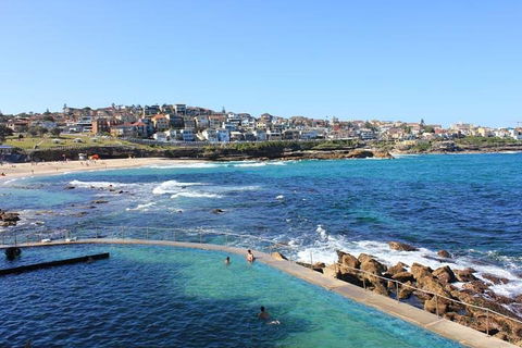 Private Tour: Sydney Highlights In A Day - Flights 1