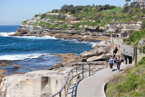 Private Tour: Sydney City Highlights - Flights 2