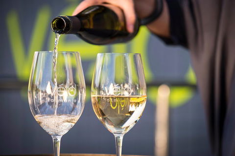 Full Day Tamar Valley Wine Tour - Flights 2