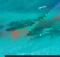 Private Tangalooma Wrecks Tour - Flights