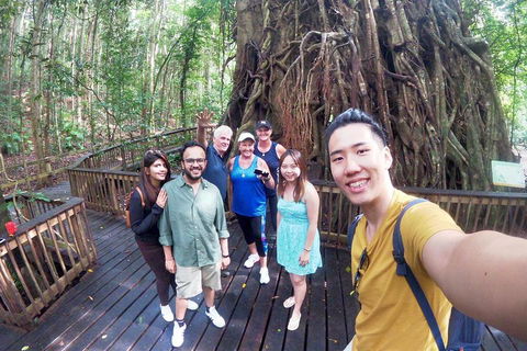 Cairns 4WD Waterfall And Rainforest Tour Including Kuranda Scenic Railway - Flights 0