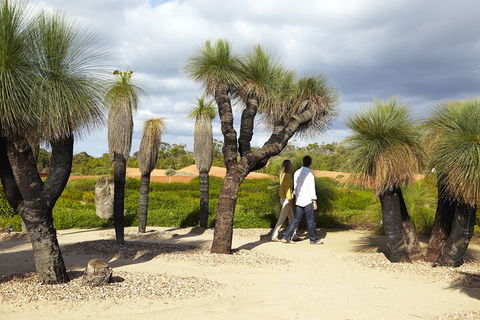1 Day Exclusively Private Tour Of Phillip Island & The Penguin Parade - Flights 0