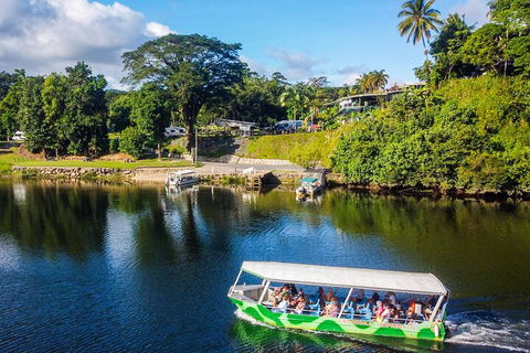 Afternoon Half-Day Daintree Rainforest And River Tour - Flights 1