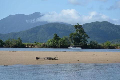 Afternoon Half-Day Daintree Rainforest And River Tour - Flights 2
