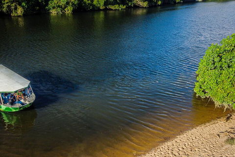 Afternoon Half-Day Daintree Rainforest And River Tour - Flights 3