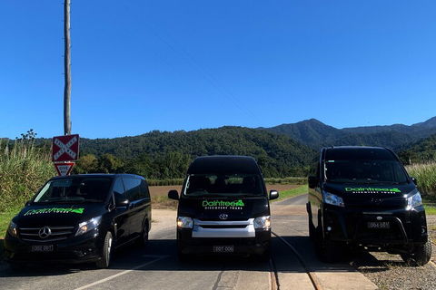 Afternoon Half-Day Daintree Rainforest And River Tour - Flights 4