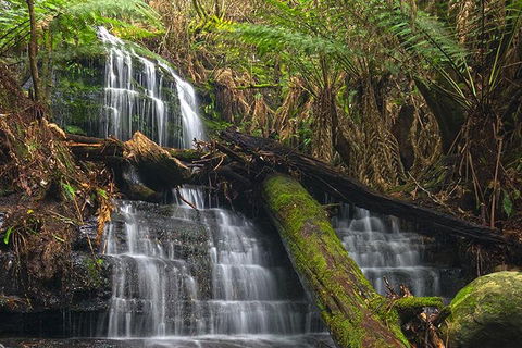 Hobart And Surrounds Photography Workshop - Flights 2