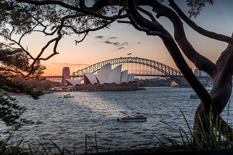 Brilliant Sunset Sydney Harbour And Night Photography Tour - Flights 5