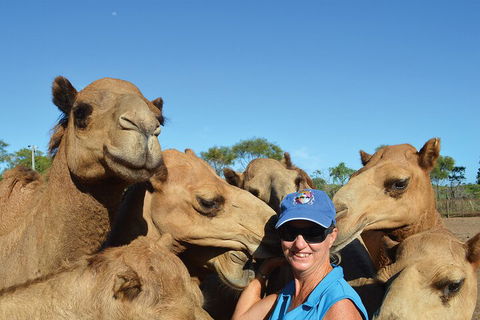 Broome Pre-sunset Camel Tour 30 Minutes - Flights 0