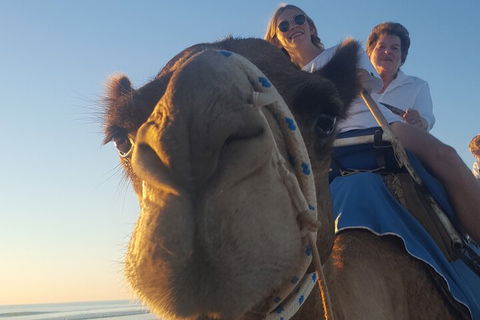 Broome Pre-sunset Camel Tour 30 Minutes - Flights 1