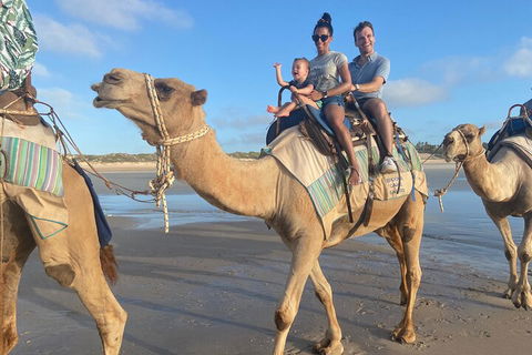 Broome Pre-sunset Camel Tour 30 Minutes - Flights 3