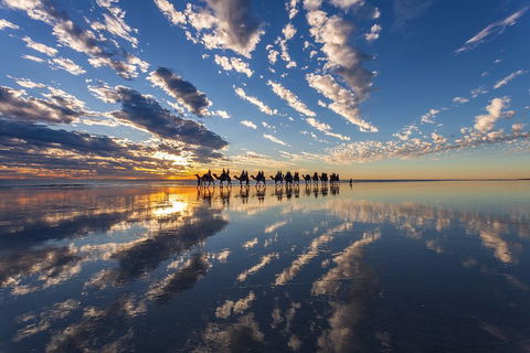 Broome Pre-sunset Camel Tour 30 Minutes - Flights 4