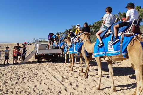 Broome Pre-sunset Camel Tour 30 Minutes - Flights 5