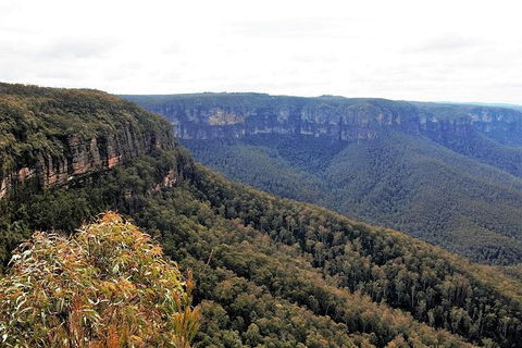 Blue Mountains - Flights 3