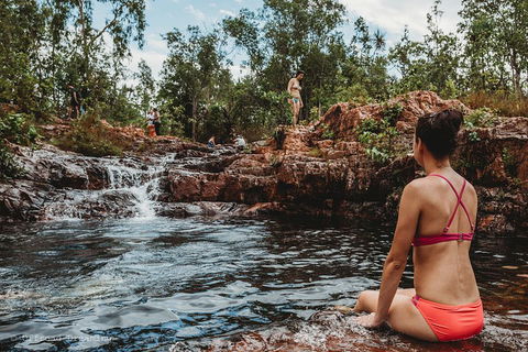 Litchfield National Park Day Tour From Darwin With Waterfalls And Buley Rockhole - Flights 0