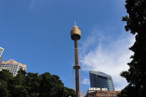 Private Sydney City Customized Tour - Flights 0