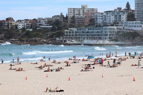 Private Sydney City Customized Tour - Flights 2