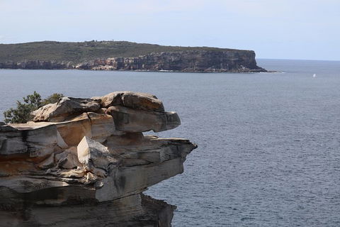 Private Sydney City Customized Tour - Flights 3