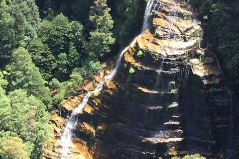 Private Blue Mountains Tour With Kangaroo And Koala Experience - Flights 5