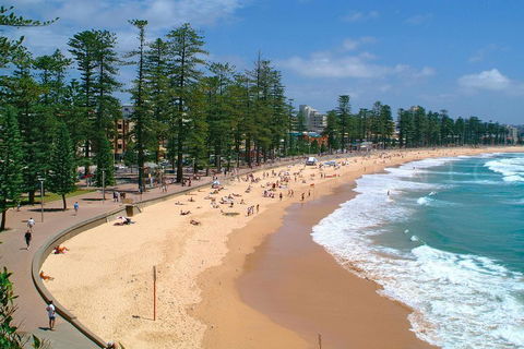 Private Sydney Full Day Tour Including Sydney Opera House, Bondi And Manly - Flights 3