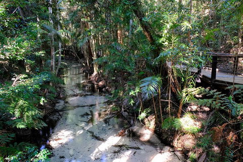Fraser Island 4WD Tour From Rainbow Beach - Flights 0