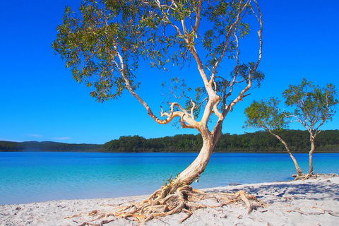 Fraser Island 4WD Tour From Rainbow Beach - Flights 5