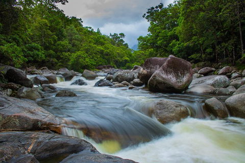 Cape Tribulation Day Tour - Flights 0