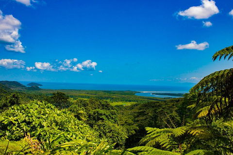 Cape Tribulation Day Tour - Flights 3