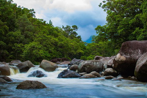 Cape Tribulation Day Tour - Flights 4