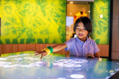 Melbourne Sports Experience + Free Australian Sports Museum Entry - Flights 4