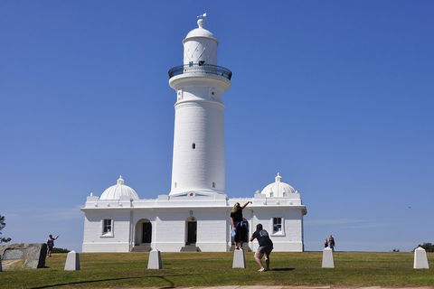 Sydney Sightseeing Bus Tours - Flights 5