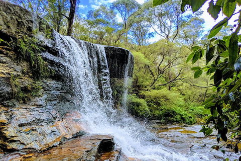 Blue Mountains Private Tour - Wild Kangaroos, Waterfalls And The Three Sisters - Flights 5